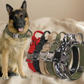 Heavy-Duty Tactical Dog Collar