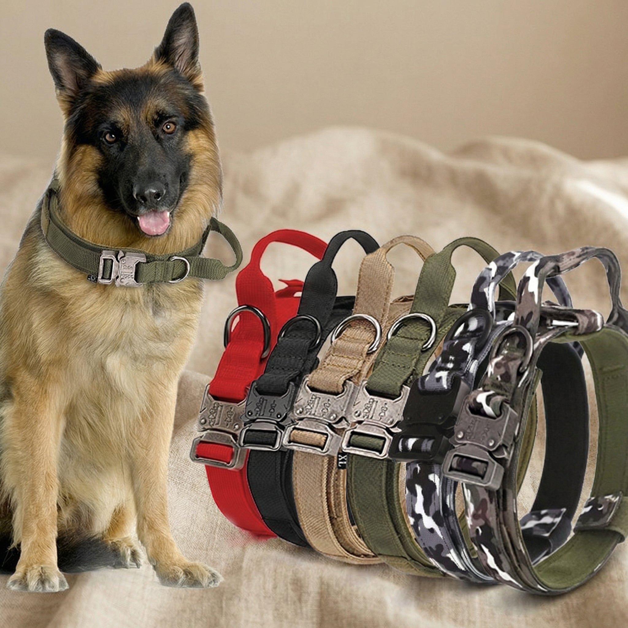 Heavy-Duty Tactical Dog Collar