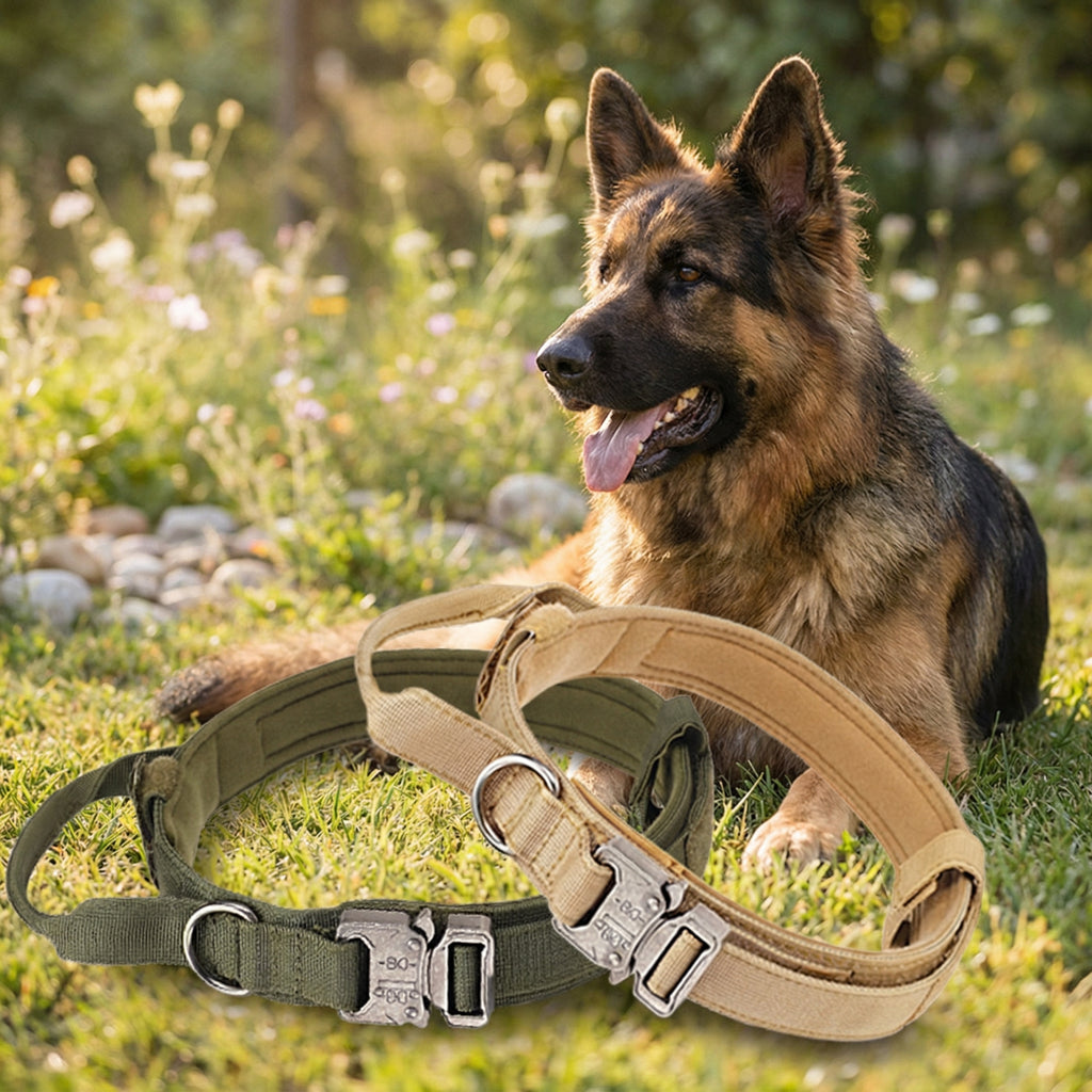 Heavy-Duty Tactical Dog Collar